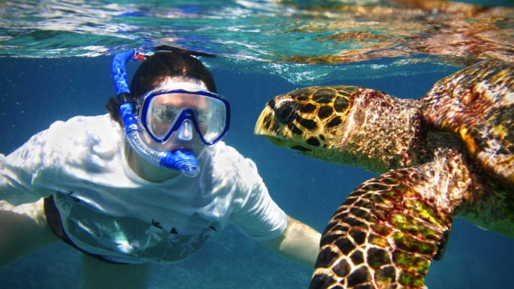 ou faire snorkeling gili trawangan