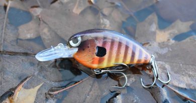 comment améliorer vos leurres