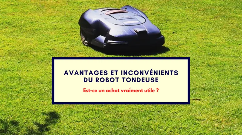 Quels sont les avantages et inconvénients d'un robot tondeuse
