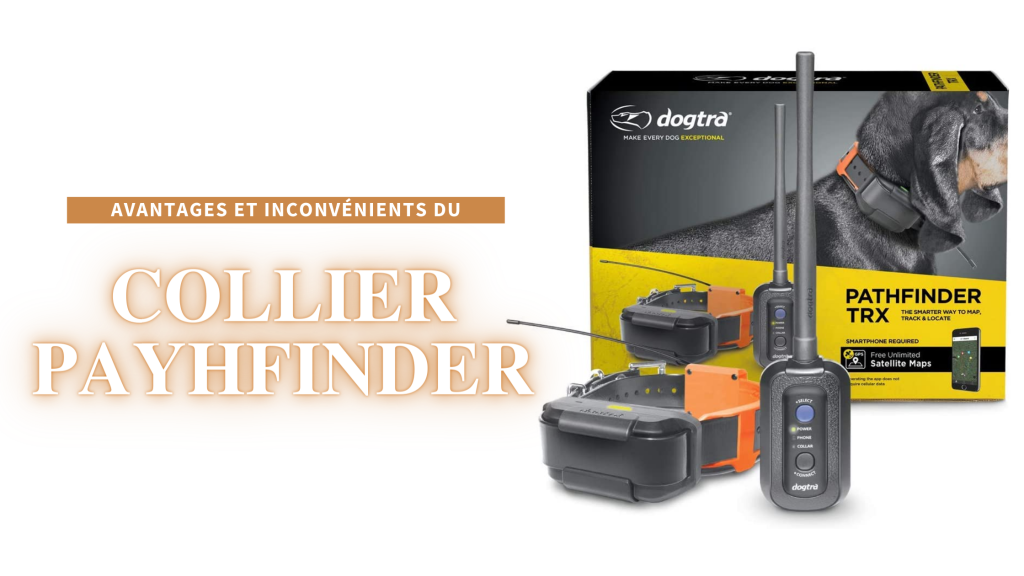 collier dogtra pathfinder avis