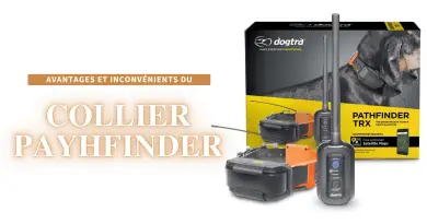 collier dogtra pathfinder avis