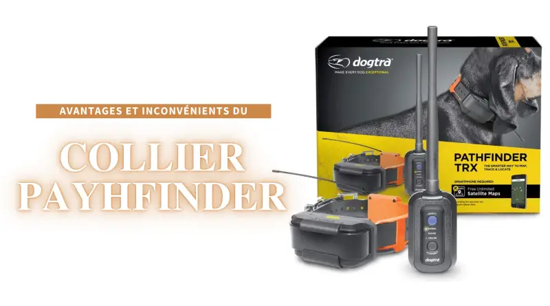 collier dogtra pathfinder avis