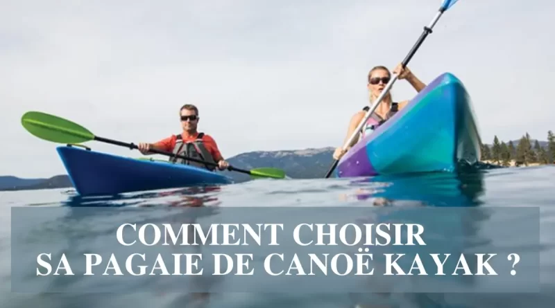comment choisir sa pagaie de canoe