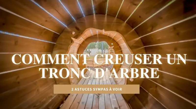 comment creuser un tronc d'arbre