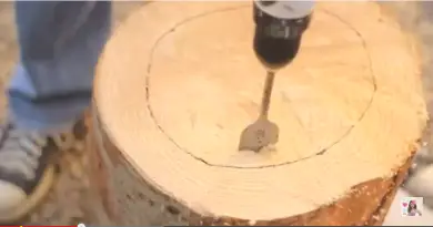 comment creuser une souche d'arbre