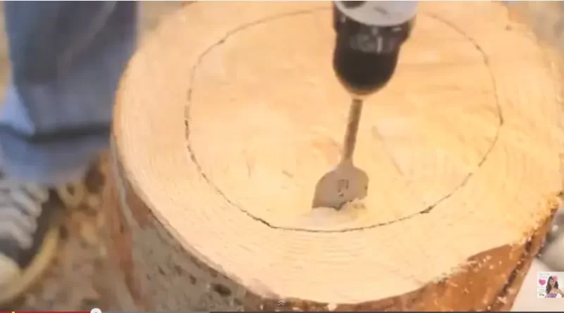 comment creuser une souche d'arbre