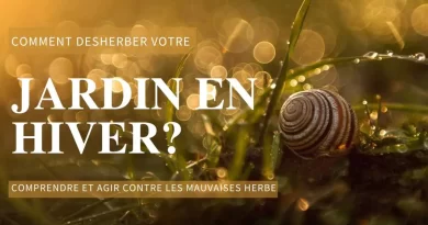 désherber en hiver