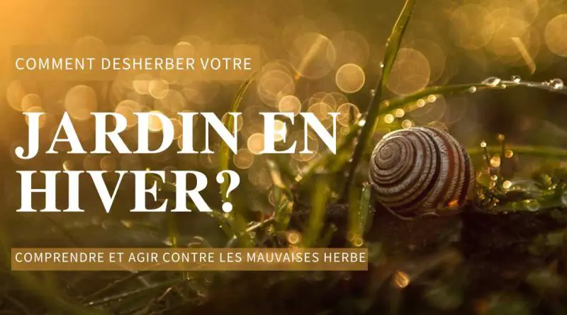 désherber en hiver