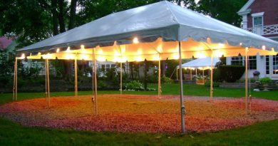 nettoyer une tonnelle verdie