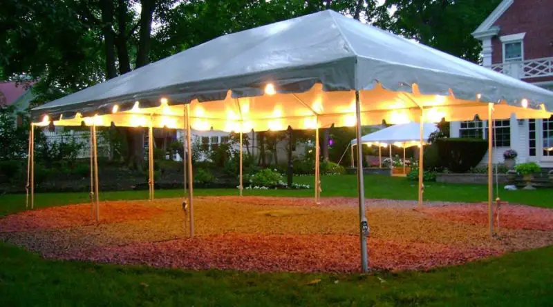 nettoyer une tonnelle verdie