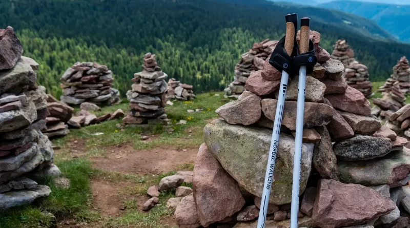 différence entre bâton marche nordique et randonnée