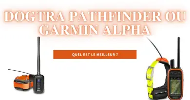 Dogtra Pathfinder ou Garmin Alpha