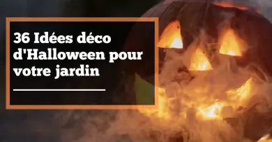 idées déco halloween