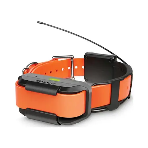 collier gps chien de chasse