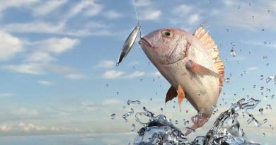 leurres à des prix hallucinant