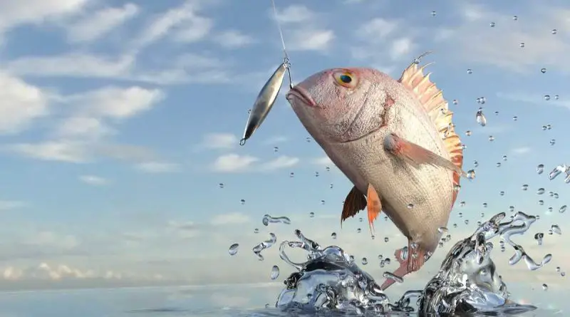 leurres à des prix hallucinant