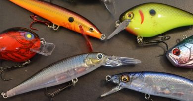 meilleur leurre automne