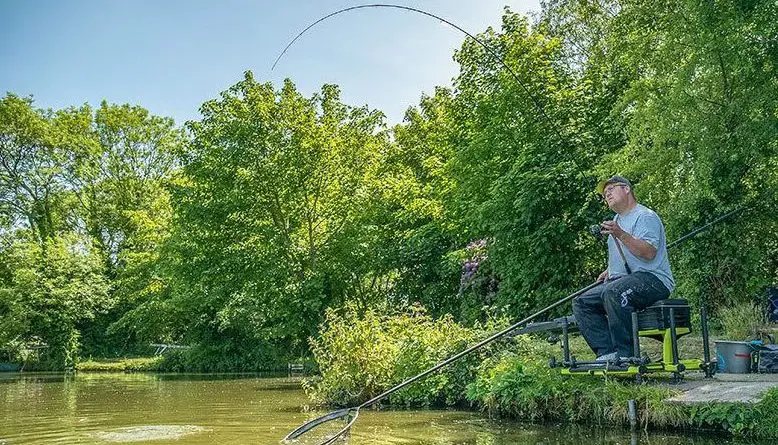 meilleure canne à pêche anglaise