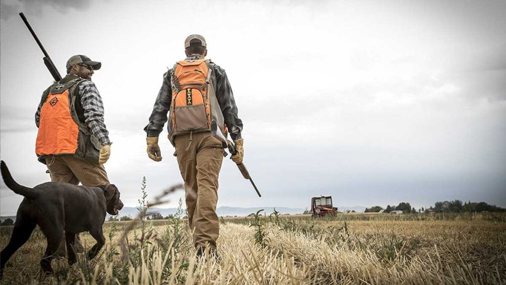 meilleure veste chasse
