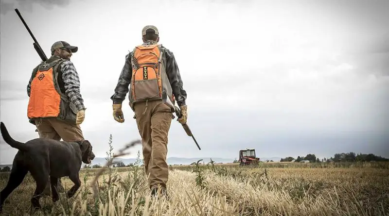 meilleure veste chasse