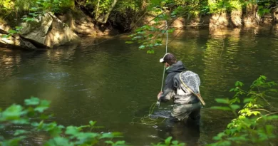 acheter meilleure veste wading