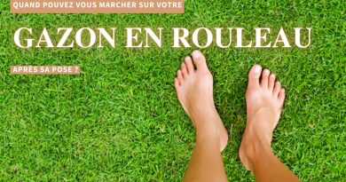 quand marcher sur gazon en rouleau