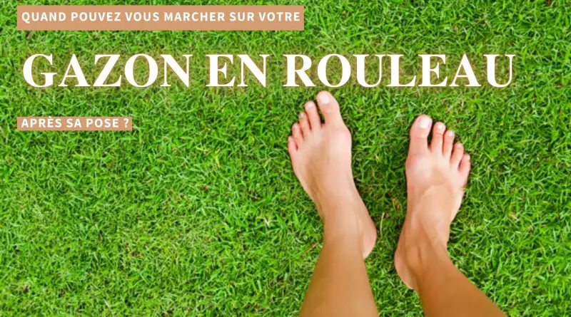 quand marcher sur gazon en rouleau