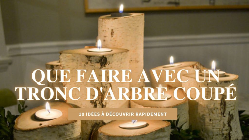 Que faire avec un tronc d’arbre coupé