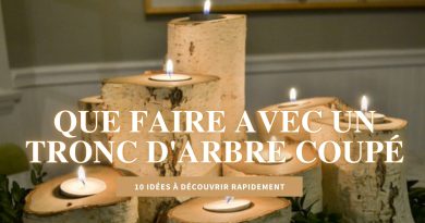 Que faire avec un tronc d’arbre coupé