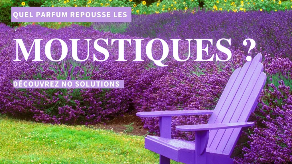 quelle odeur repousse les moustiques