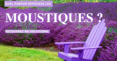 quelle odeur repousse les moustiques