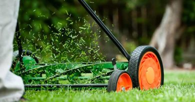 affuter une tondeuse manuelle
