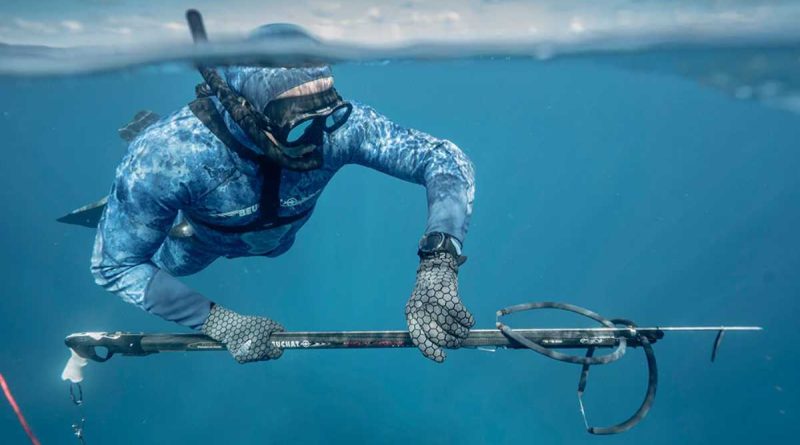 chosir sandow chasse sous marine