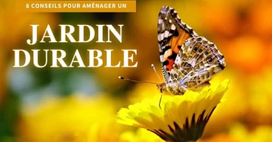papillon poser sur une fleur dans un jardin durable