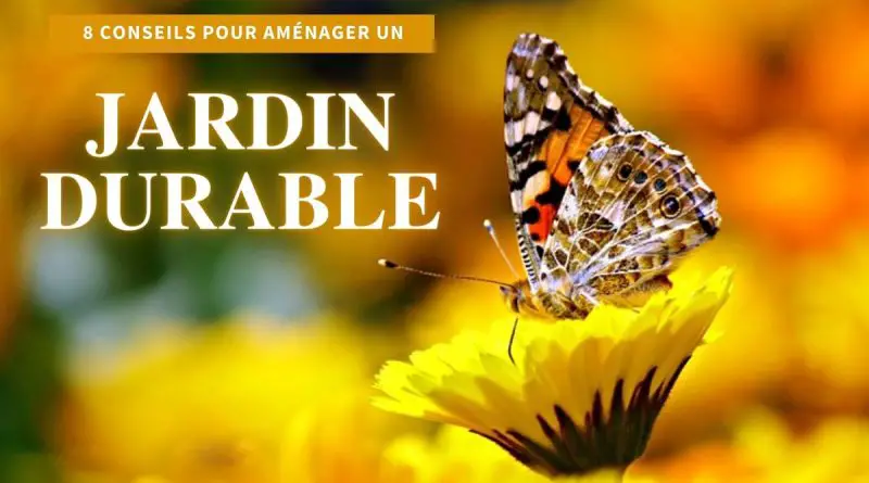 papillon poser sur une fleur dans un jardin durable