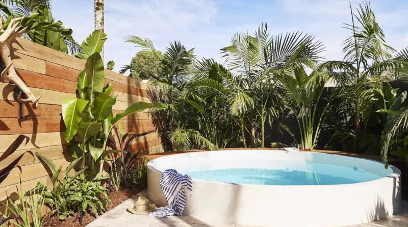 comment faire pousser un bananier sans graine