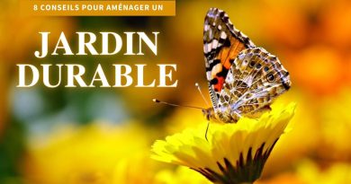 papillon poser sur une fleur dans un jardin durable
