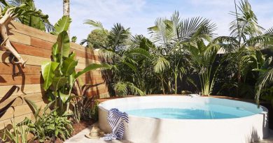 comment faire pousser un bananier sans graine