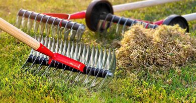 différents modèles de scarificateur manuel pour jardin