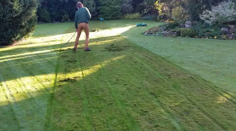 jardinier qui scarifie sa pelouse sans l'aide d'un scarificateur