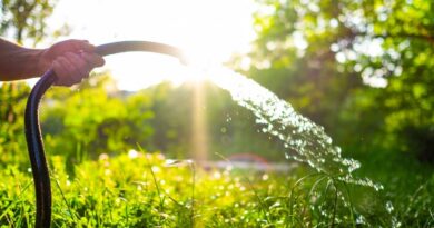 tuyau arrosage avec pression augment entrain d'arroser