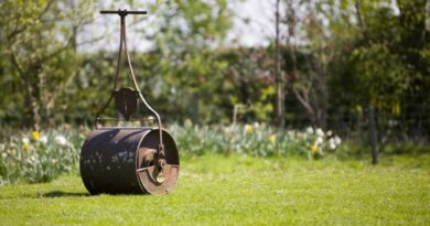 quand passer le rouleau a gazon