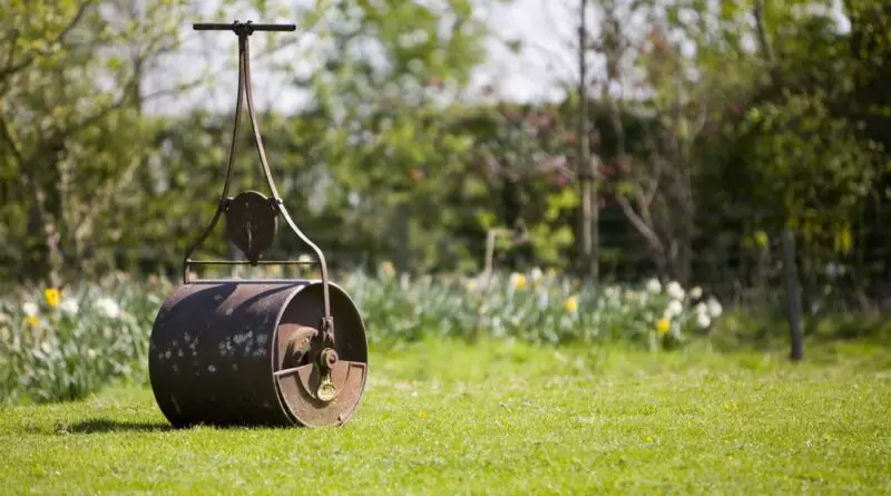 quand passer le rouleau a gazon