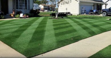 rouleau à gazon les erreurs à éviter