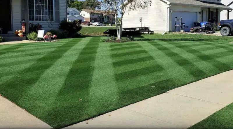 rouleau à gazon les erreurs à éviter
