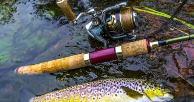 Conseil moulinet truite