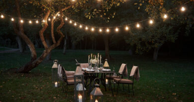 Quelle ampoule faut-il choisir pour votre jardin ?