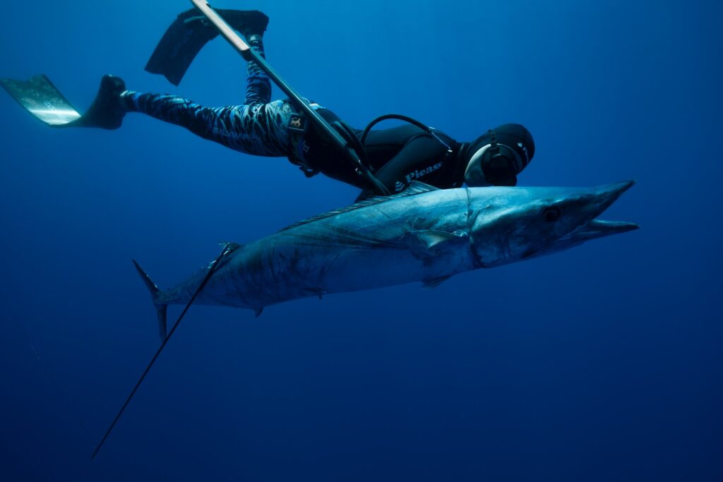 chasse sous marine