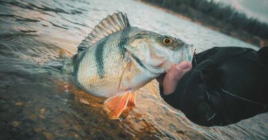 comment pecher en hiver