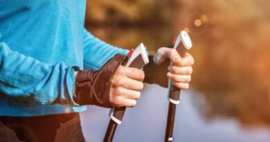 acheter meilleur baton marche nordique